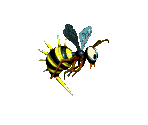 Queen B - Donkey Kong Country