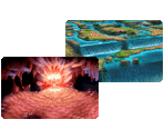Stage Icons - Final Fantasy 12: Revenant Wings