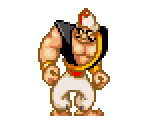 Big Guard - Aladdin