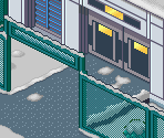 Sharo - Mega Man Battle Network 4