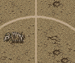 Skull Field - Mega Man Soccer