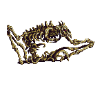 Diseaser - Bahamut Lagoon (JPN)