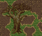 Great Prairie - Romancing SaGa 3 (JPN)