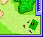 Gadgets - Mario Party Advance