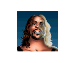 Wrestler Icons - WCW vs. nWo: World Tour
