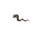Chestburster and Cocoon - Alien vs. Predator