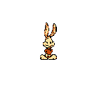 China Rabbit Baby / King Rabbit - China Rabbit Baby / King Rabbit (Bootleg)