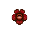 Flowers & Grass - Animal Crossing: Wild World