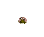 Alien Egg - Super Contra