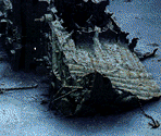 Britannic's Short Life - James Cameron's Titanic Explorer