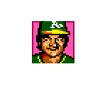 Team Select - Reggie Jackson's Baseball / American Baseball