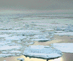 International Ice Patrol - James Cameron's Titanic Explorer