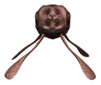 Tick - Marathon 2: Durandal