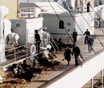 Deck Chairs Overboard - James Cameron's Titanic Explorer