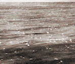 Floating Bodies Nearly Invisible - James Cameron's Titanic Explorer