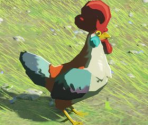 Compendium Images (Animals) - The Legend of Zelda: Breath of the Wild