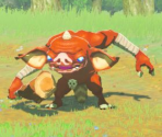 Compendium Images (Enemies) - The Legend of Zelda: Breath of the Wild