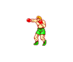 T. White - James "Buster" Douglas Knockout Boxing / Heavyweight Champ