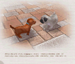 Internet - Nintendogs