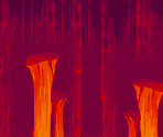 Backgrounds - The Lion King