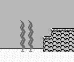 Turtle Zone 01 - Super Mario Land 2: 6 Golden Coins