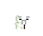Oldy - FEZ