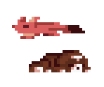 Fox and Dog - FEZ