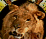 MGM Logo - Babes in Toyland