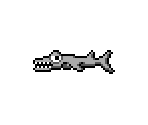 Barracuda - Scubaventure