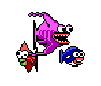 Miscellaneous Fish - Scubaventure