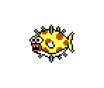 Pufferfish - Scubaventure