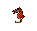 Seahorse - Scubaventure