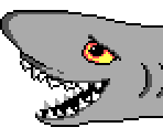 Shark - Scubaventure