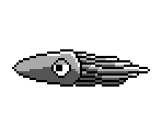 Squid - Scubaventure