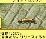 Landing Backgrounds - River King 5 / Kawa No Nushi Tsuri 5