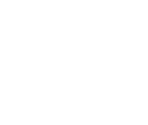 Languages - Disney Infinity