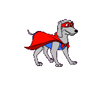 Rascal - Purina Dog Chow Incredible Dog Challenge