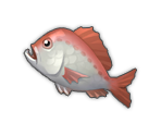 Fish - MapleStory 2