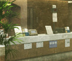 AH Tokyo General Hospital High-Tech Medical Center - Steins;Gate 0