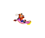 Crash Bandicoot (Carpet) - Crash Bandicoot 2: N-Tranced