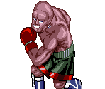 Rick Bruiser - Super Punch-Out!!