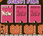 File Select Screen - Donkey Kong