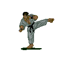 Karate Man - Street Smart