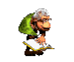 Wrinkly Kong - Donkey Kong Country 2: Diddy's Kong Quest