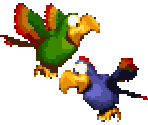 Squawks & Quawks the Parrot - Donkey Kong Country 2: Diddy's Kong Quest