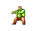 Cheng Sin Zan - Fatal Fury Special