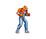 Terry Bogard - Fatal Fury: King of Fighters