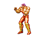 Wolfgang Krauser - Fatal Fury Special