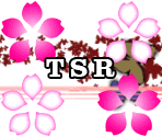 Text - Touhou Hifuu Nightmare Diary (Violet Detector)