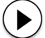 Buttons - Hachi Hachi